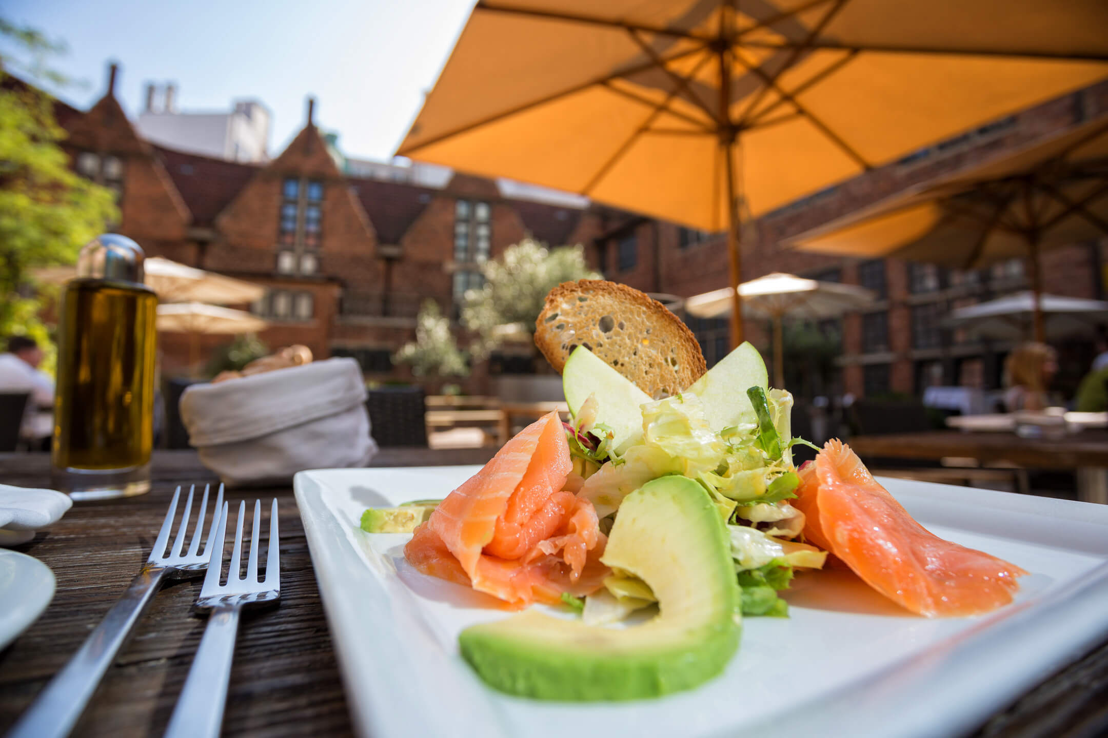 Salad with avocado and salmon