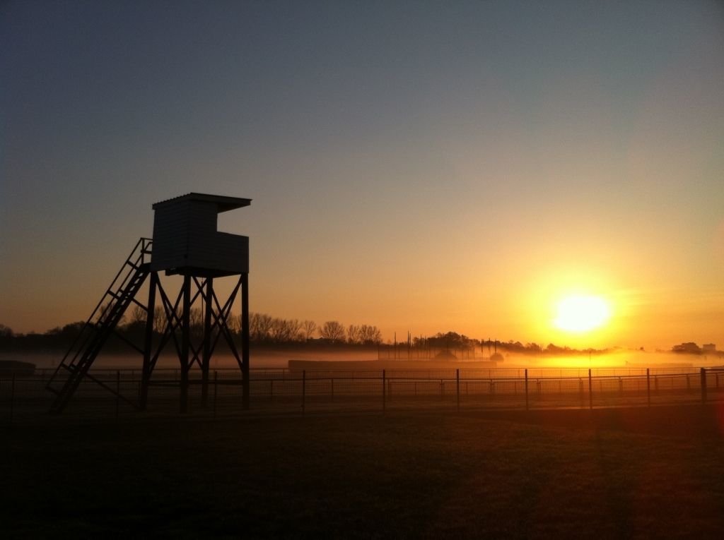 Sonnenaufgang über der Galopprennbahn in Bremen mit einem Beobachtungsturm im Vordergrund.