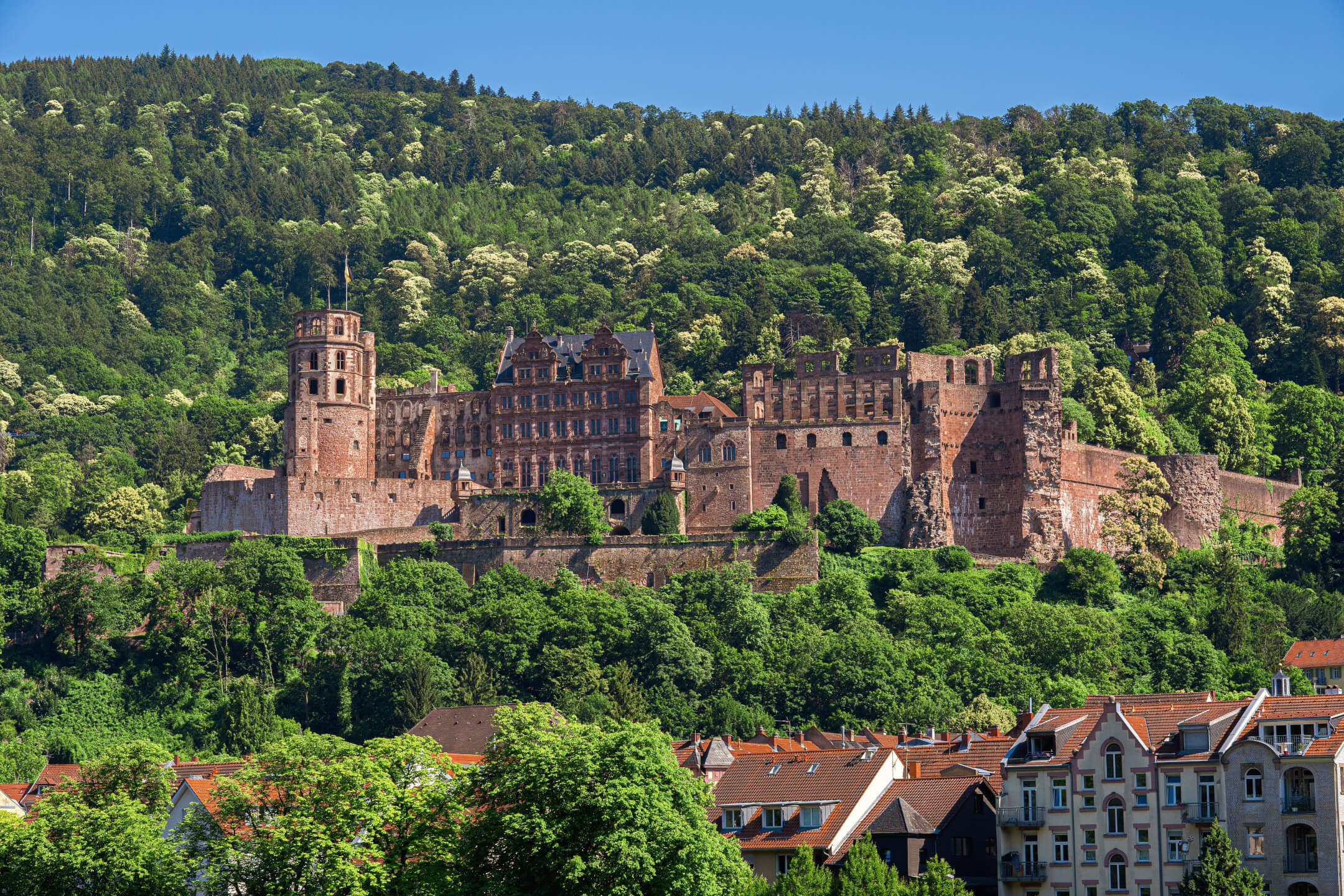 Historic castle on a wooded hill, surrounded by green trees, with a view of the roofs of a town.