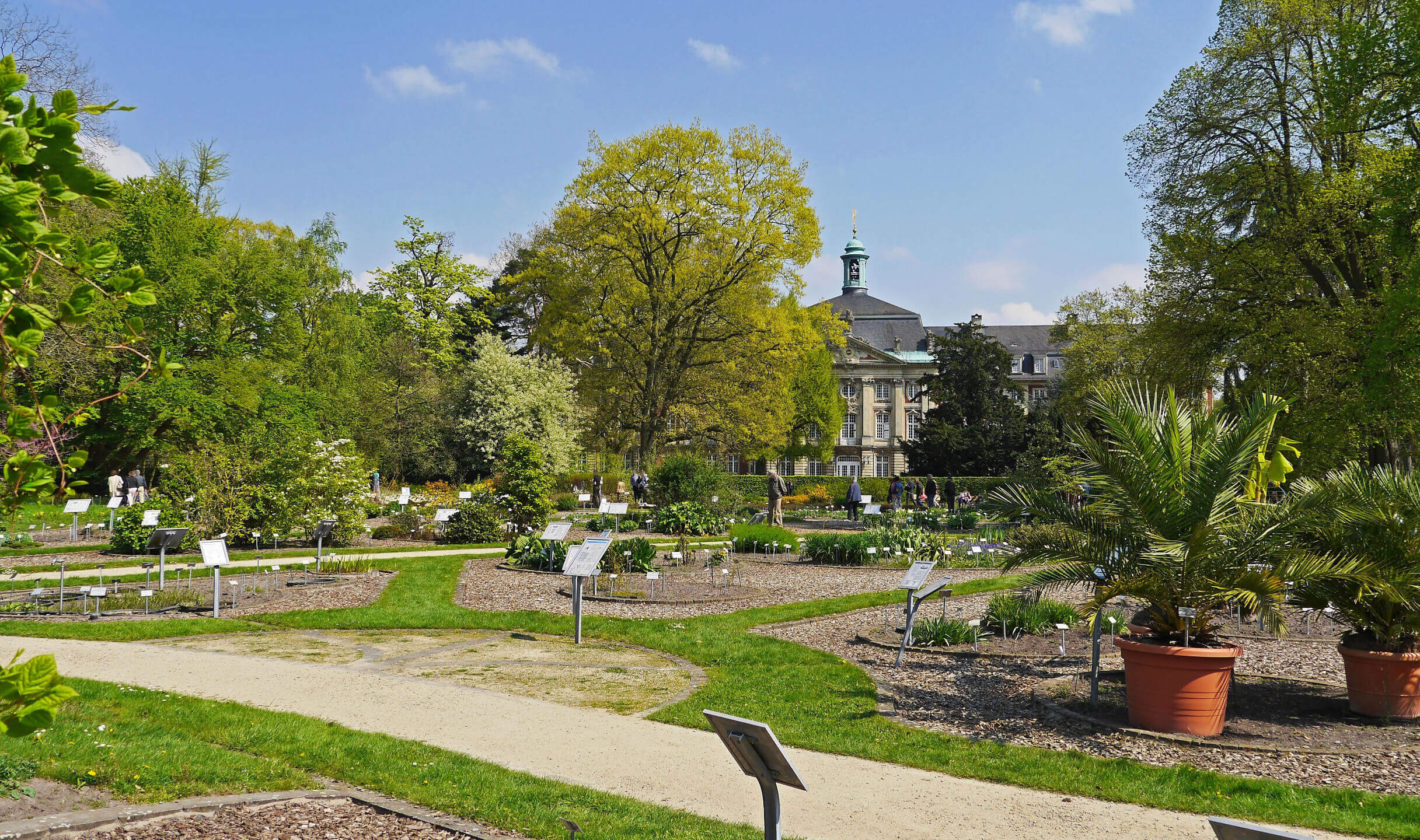 Botanical Garden in Münster | ATLANTIC Hotel Münster Green garden with paths and signage, in the background a historic building with a tower.