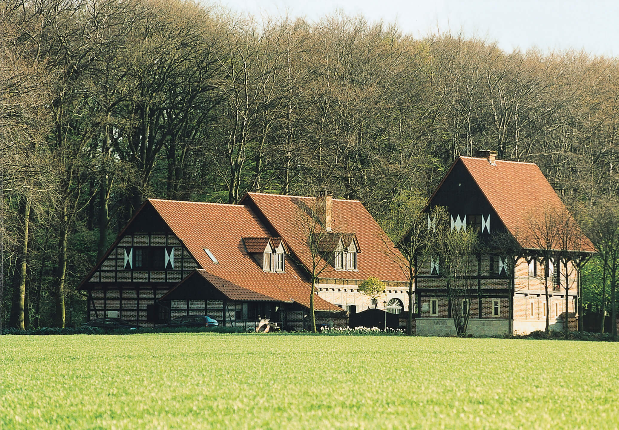 Farmhouses in the Mühlenhof Open-air museum Half-timbered house with red roofs in front of a forest, surrounded by a green meadow.