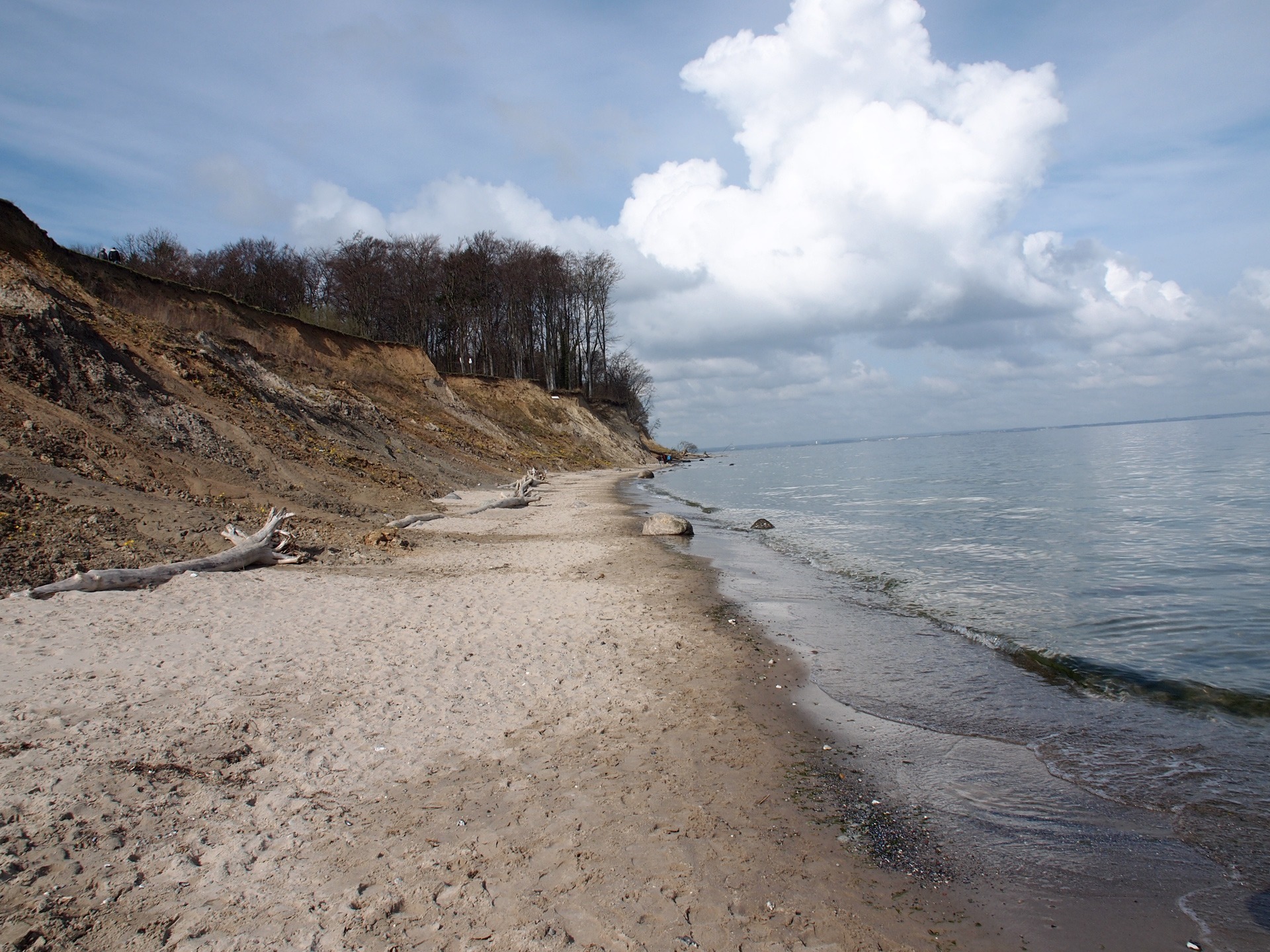 Sandstrand an der Ostsee mit Klippen und Bäumen im Hintergrund unter einem bewölkten Himmel.