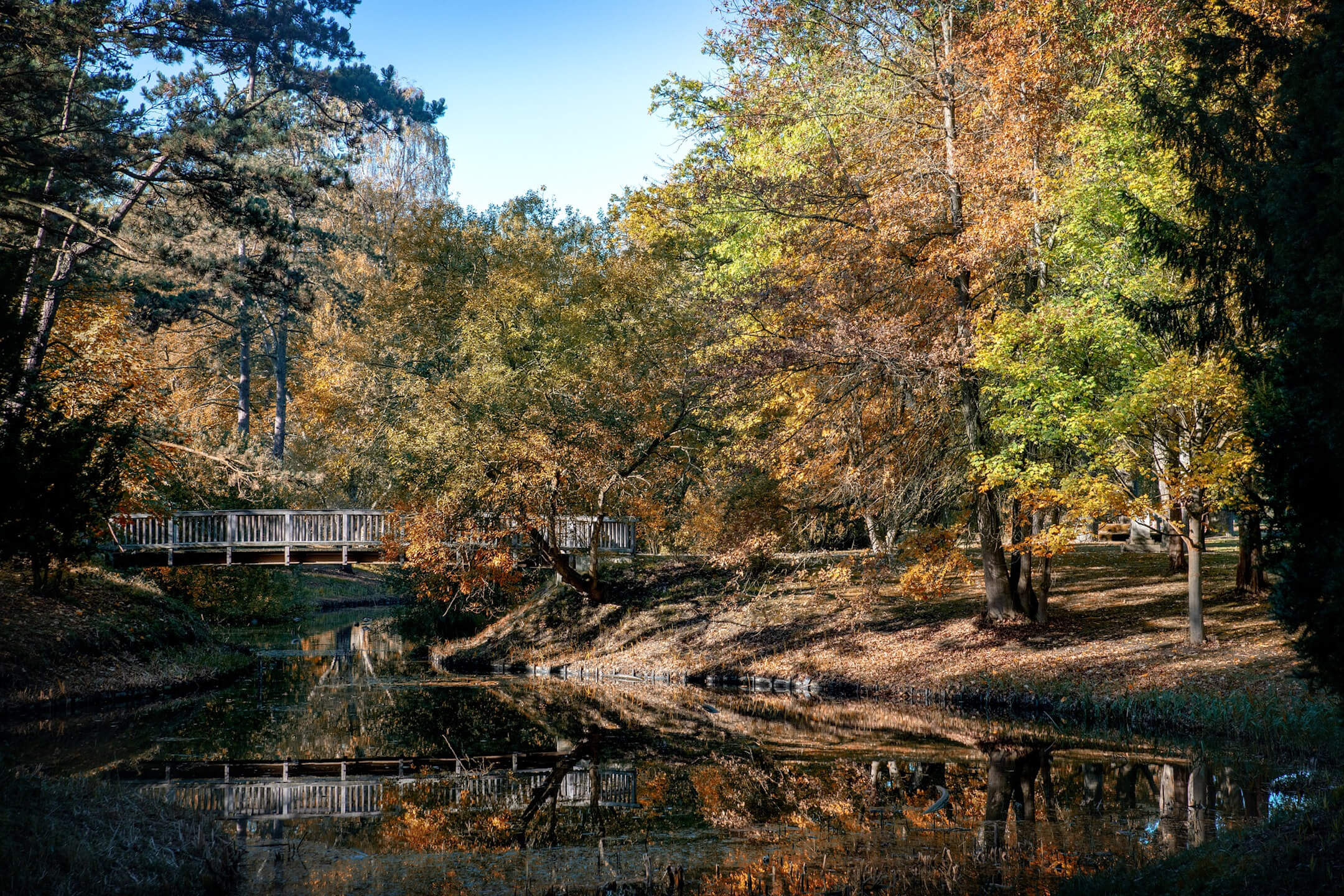 Bürgerpark Bremen in the fall