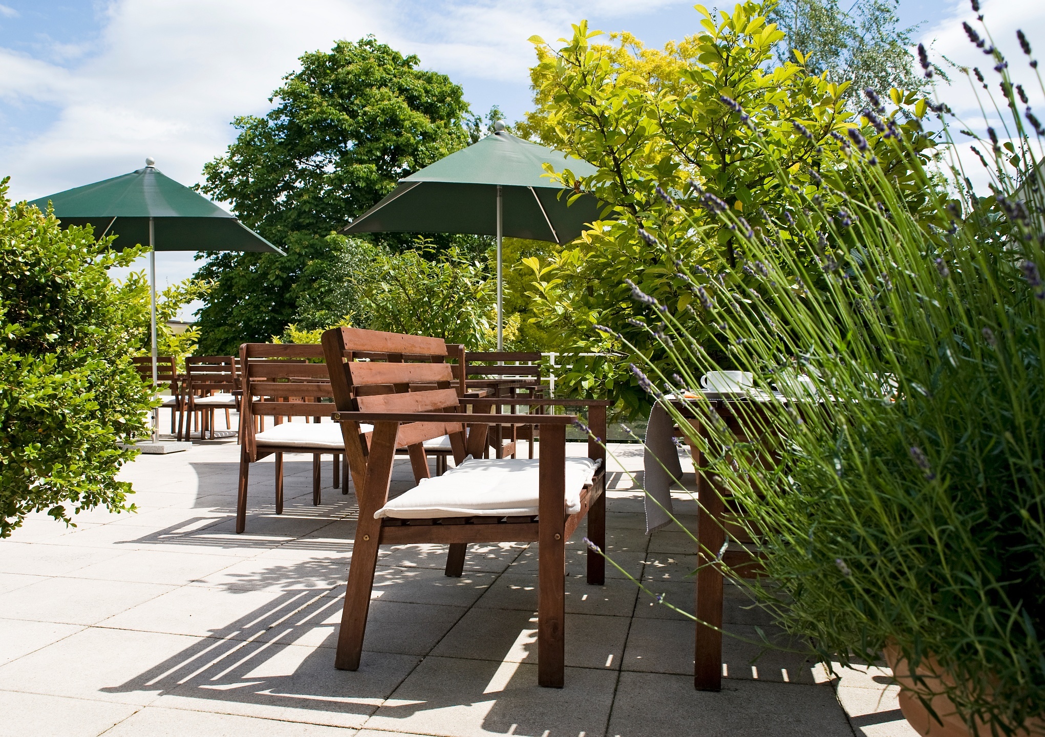 Bench and plants on the sun terrace of the ATLANTIC Hotel Vegesack in Bremen