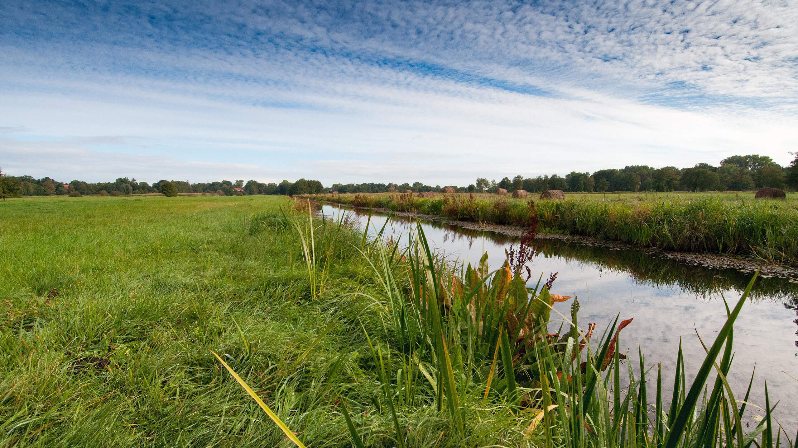 Grüne Wiese mit schmalem Fluss unter blauem Himmel, umgeben von Bäumen und Heuballen.