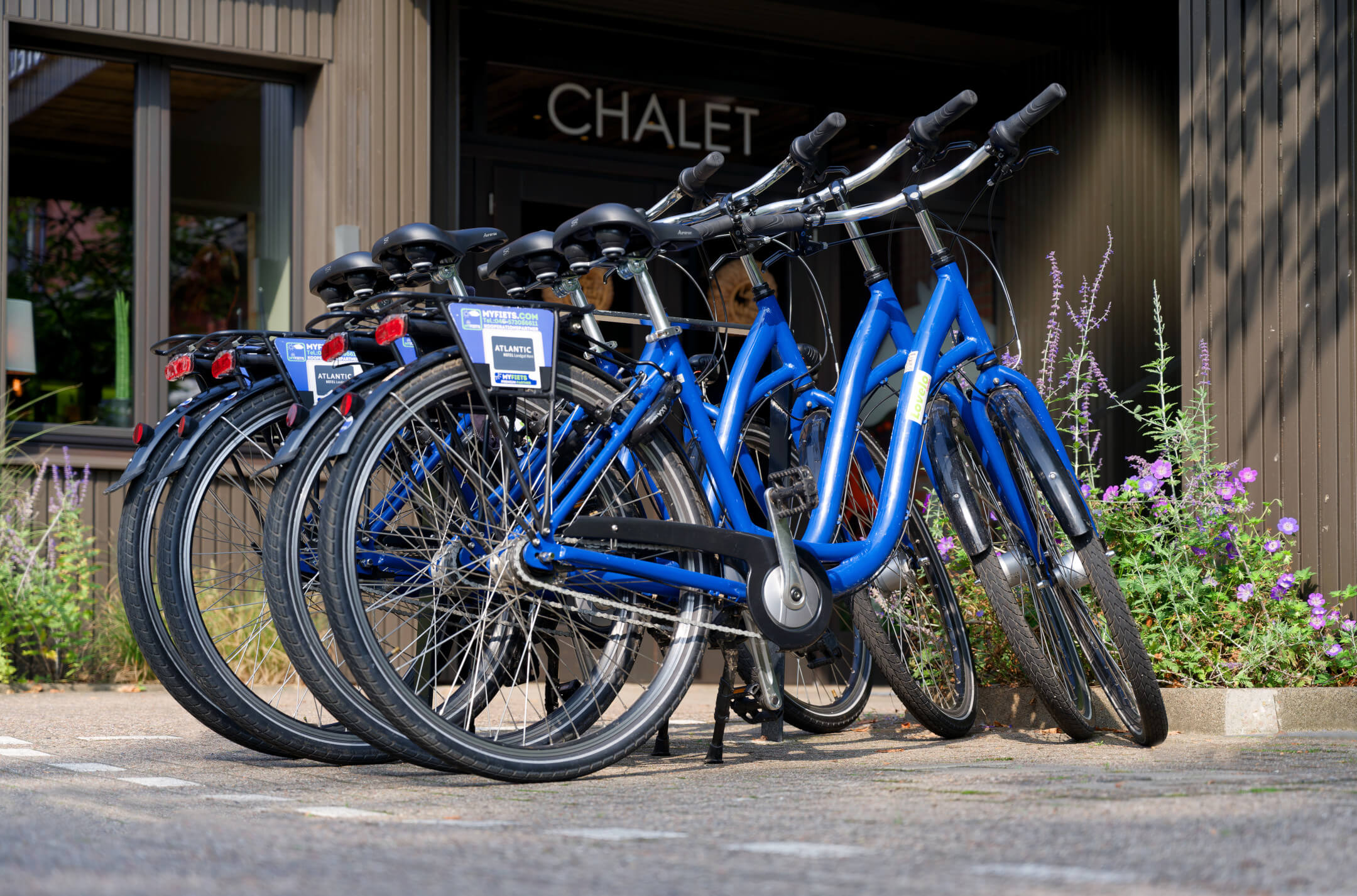 Sechs blaue Fahrräder stehen vor einem Chalet-Eingang, umgeben von blühenden Pflanzen.