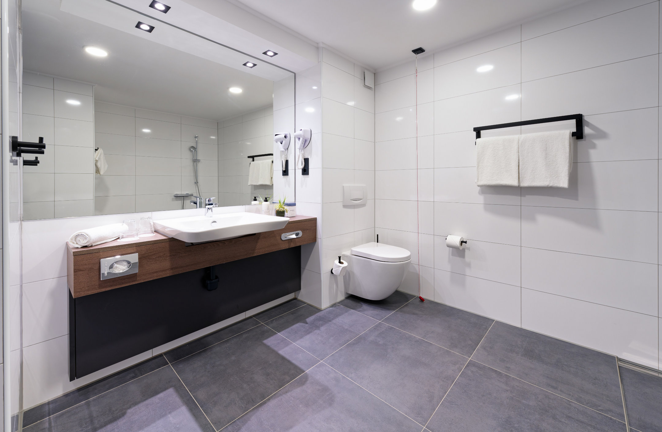 A photograph of the accessible bathroom with an emergency pull cord.
