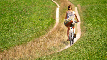 A person is cycling along a narrow path through a green meadow.