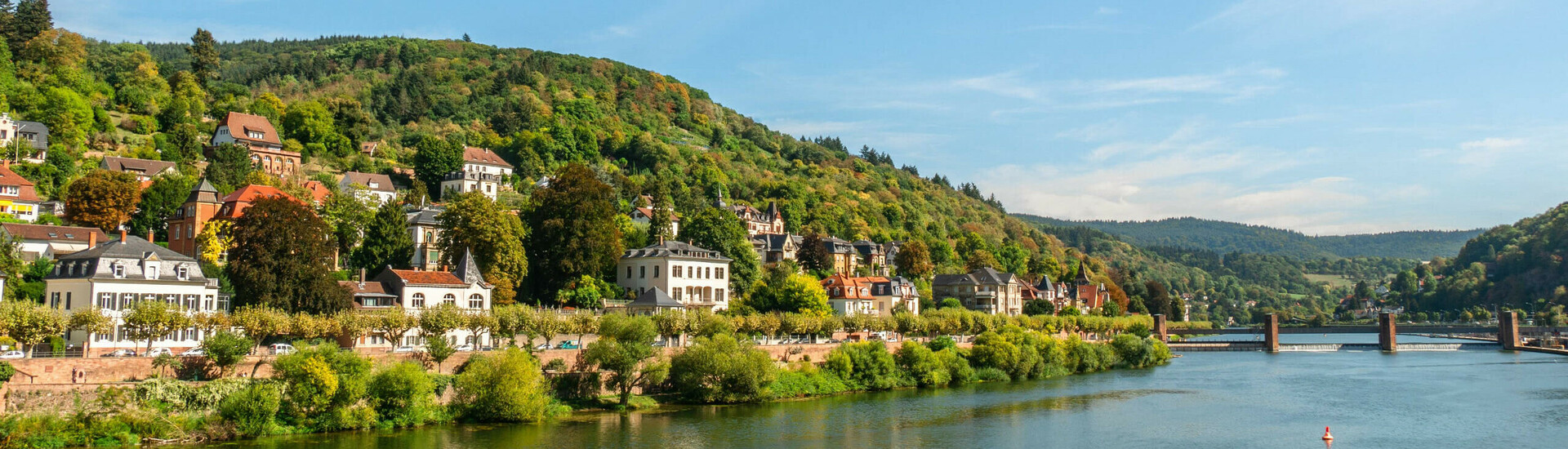 Blick auf malerische Flusslandschaft mit grünen Hügeln und charmanten Häusern am Ufer unter blauem Himmel.