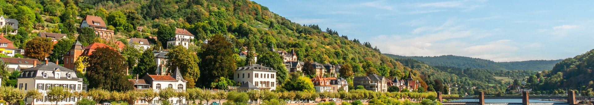 View of picturesque river landscape with green hills and charming houses on the banks under a blue sky.