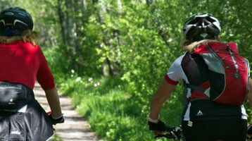 Zwei Radfahrer auf einem Waldweg, umgeben von üppigem Grün im Sonnenschein.