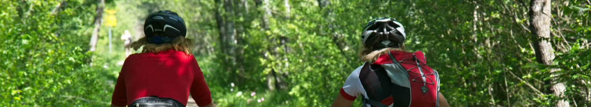 ATLANTIC Hotel Münster Bed & Bike Zertifizierung Zwei Radfahrer auf einem Waldweg, umgeben von üppigem Grün im Sonnenschein.