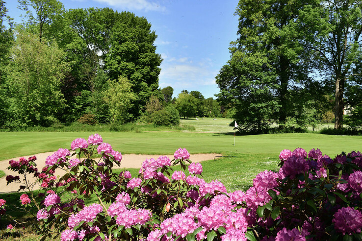 Grünanlage mit Rhododendronbusch des Golf Club Altenhof e.V.