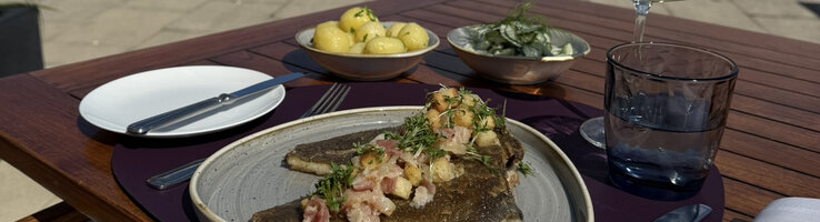Maischolle auf der Terrasse vom Restaurant HARBOUR View Wilhelmshaven