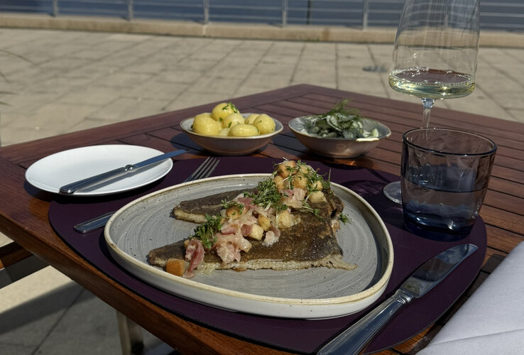 Maischolle auf der Terrasse vom Restaurant HARBOUR View Wilhelmshaven