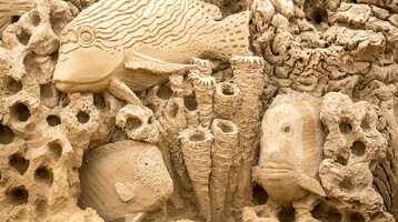 Sandkunstwerk mit detaillierten Fischen und Korallen, inspiriert vom Meeresleben.