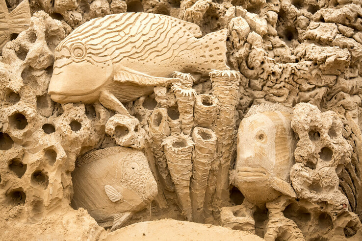 Sandkunstwerk mit detaillierten Fischen und Korallen, inspiriert vom Meeresleben.