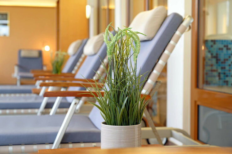 Plant in pot in front of a row of deckchairs in a modern, bright relaxation area.