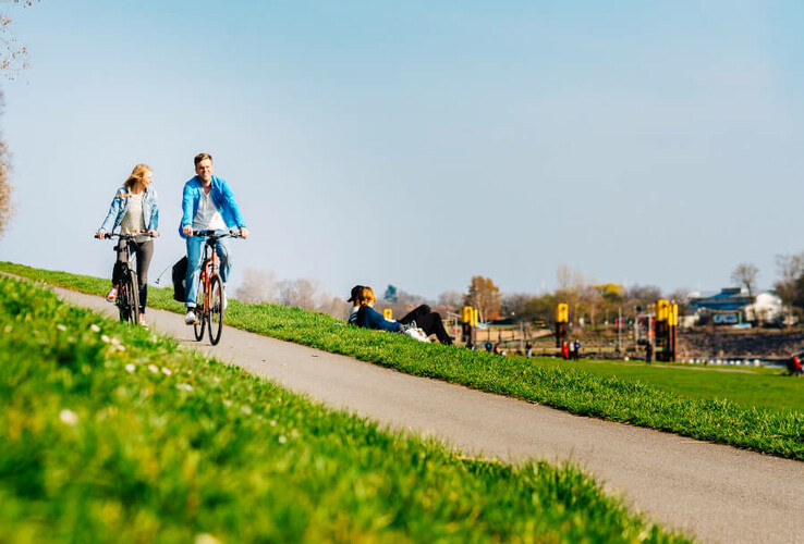 Zwei Personen fahren bei sonnigem Wetter auf einem Radweg durch eine grüne Parklandschaft.