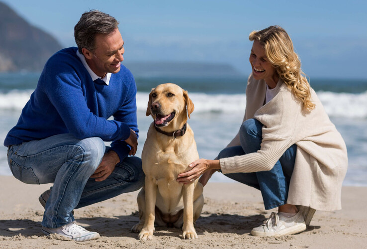 Couple with dog on the beach in front of waves; relaxed atmosphere by the sea.