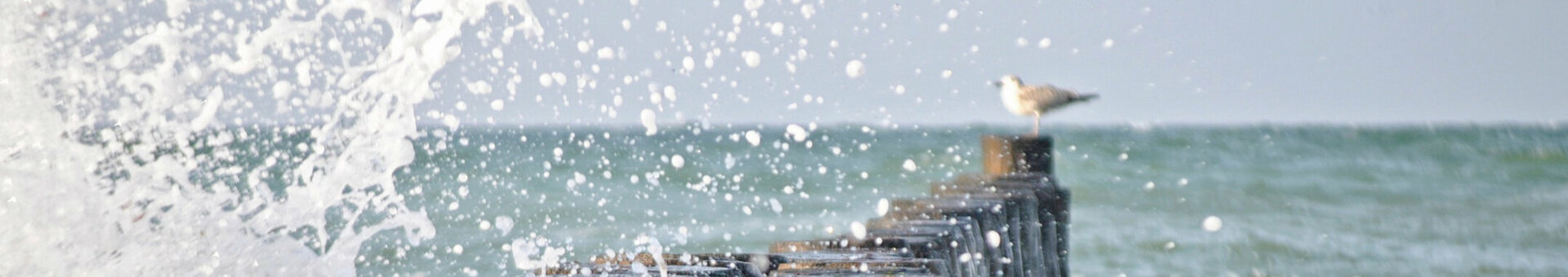 Brandung am Meer Waves splash against a wooden pier in the sea, with a seagull in the background.
