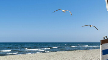 Strandkorb mit blauen Streifen am Sandstrand, Blick auf Meer und Möwen im blauen Himmel.