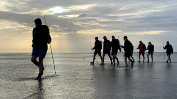 Gruppe von Menschen wandert bei Sonnenuntergang über das Watt, mit Wanderstöcken und Rucksäcken.