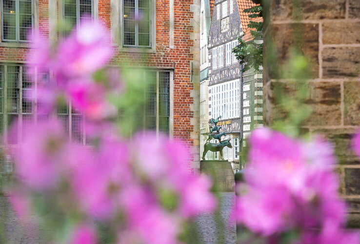 Red brick façade with the Bremen Town Musicians in the background, framed by blurred pink flowers in the foreground.