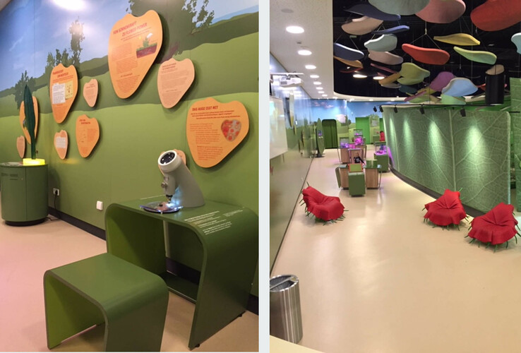 Interactive exhibition room with green walls, information boards, microscope in the Botanika Bremen.