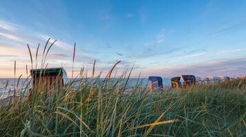 Strandkörbe am Meer bei Sonnenuntergang, umgeben von Dünen und hohem Gras, blauer Himmel im Hintergrund.