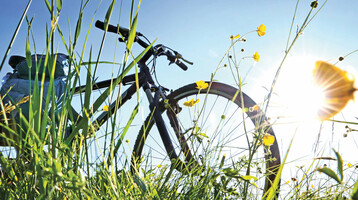 Fahrrad im hohen Gras mit gelben Blumen, im Sonnenlicht vor blauem Himmel.