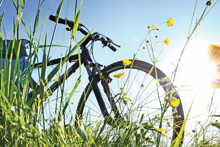 Bicycle in tall grass with yellow flowers, in the sunlight against a blue sky.