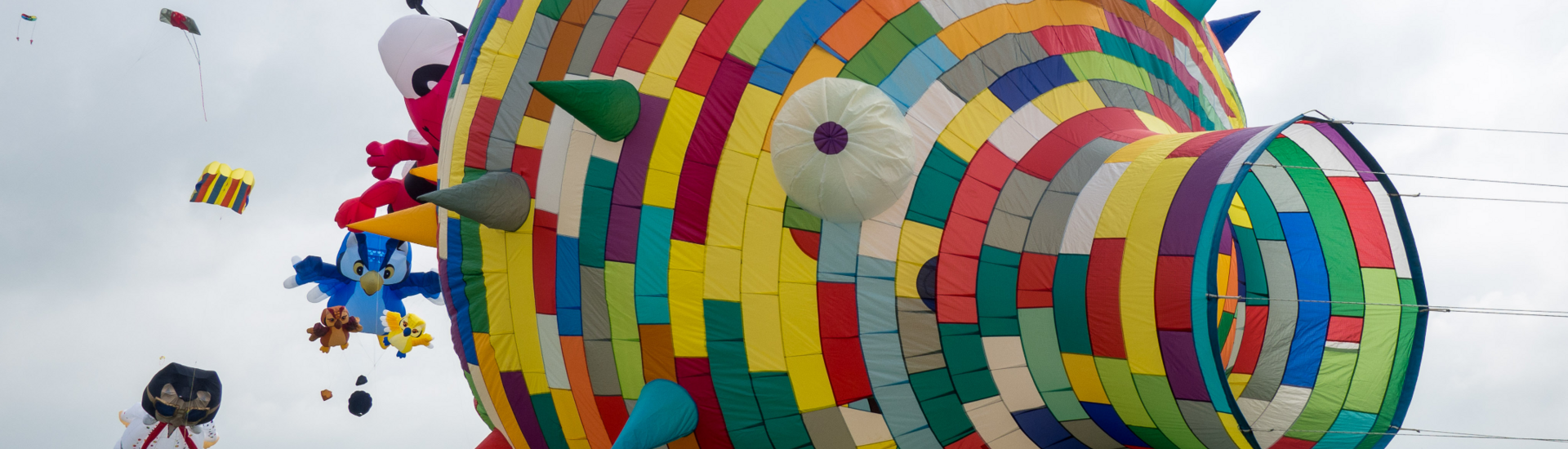 Bunte, große Drachen in verschiedenen Formen fliegen bei einem Drachenfest auf einer grünen Wiese.