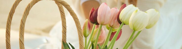 Ein Korb mit bunten Tulpen steht auf einer Picknickdecke am Strand.