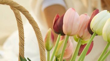 A basket of colorful tulips stands on a picnic blanket on the beach.