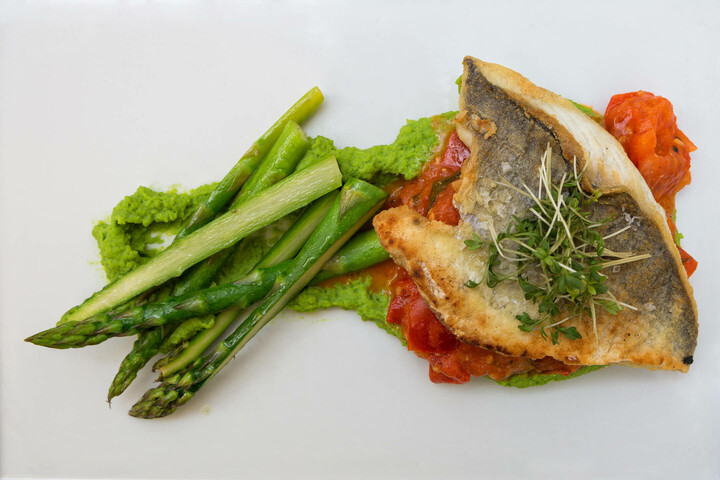 Es ist angerichtet im ATLANTIC Grand Hotel Bremen Gebratener Fisch mit Spargel, Erbsenpüree und Tomaten auf weißem Teller, im ATLANTIC Grand Hotel Bremen.