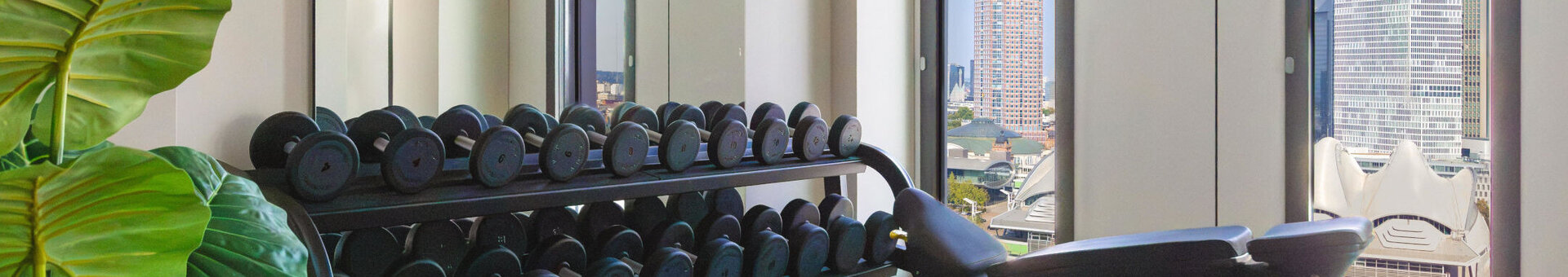 Hanteln im Fitnessraum.