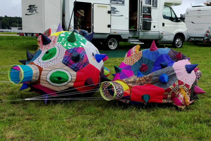Bunte, stachelige Windobjekte vor einem Wohnmobil auf einer Wiese.