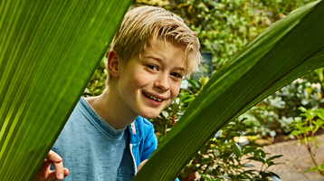 Junge lächelt zwischen großen grünen Blättern im Botanika Bremen hervor.