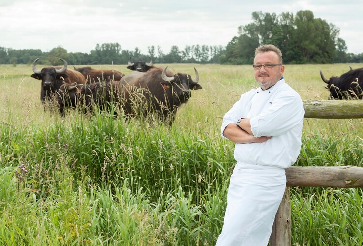Ein Koch in weißer Uniform steht lächelnd vor einer Weide mit Büffeln.