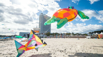 Bunte Drachen in Form von Schildkröte und Fisch fliegen am Strand von Travemünde.