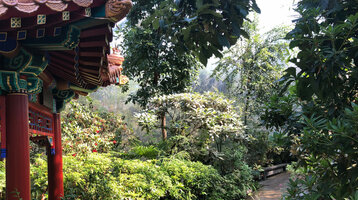 Traditional pavilion in a lush garden with a curved roof and surrounded by dense vegetation.
