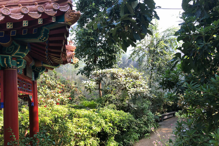 Traditioneller Pavillon im üppigen Garten mit geschwungenem Dach und umgeben von dichter Vegetation.