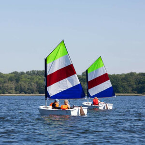 Zwei Segelboote mit bunten Segeln auf dem Wasser vor einer grünen Küstenlinie unter klarem Himmel.