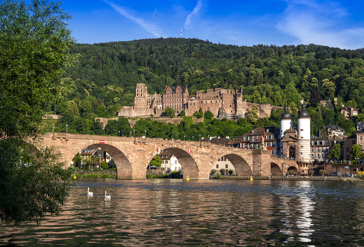 Heidelberger Schloss und Alte Brücke vor grüner Hügelkulisse, spiegeln sich im Neckar.