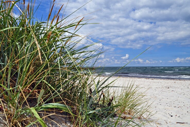Beach with dunes and sea views under a cloudy sky.