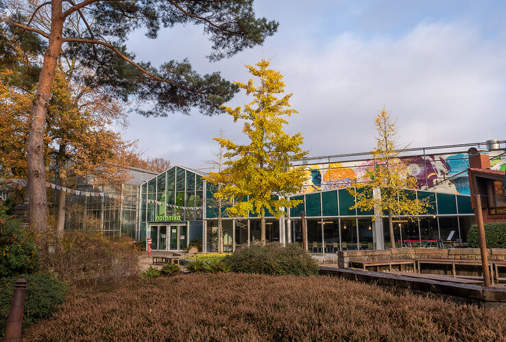 Moderner Glaspavillon mit gelben Bäumen und buntem Wandbild im Hintergrund, umgeben von herbstlicher Vegetation.