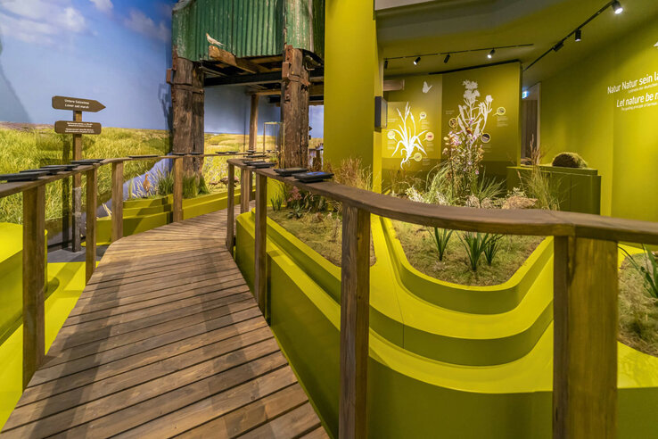 Holzsteg führt durch grünes, naturinspiriertes Ausstellungsdesign mit Pflanzen und Infografiken an den Wänden.