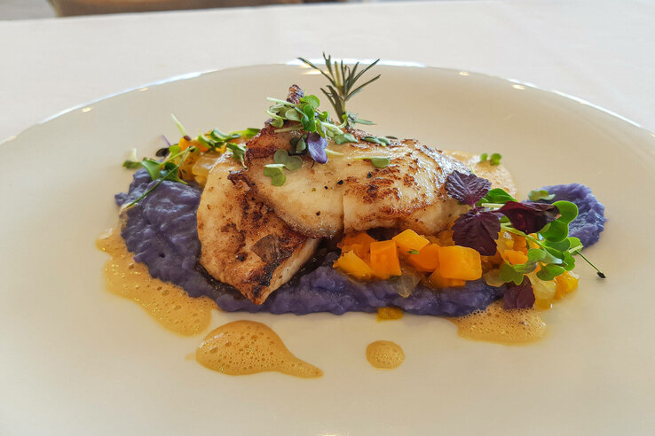 Gourmetgericht mit gebratenem Fisch auf violettem Püree, garniert mit Kräutern und Gemüsewürfeln.