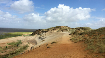 Sanddünenlandschaft mit blauem Himmel und vereinzelten Wolken, im Hintergrund das Meer.